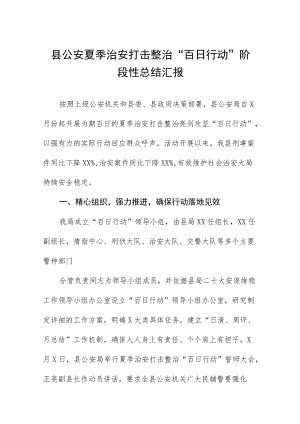 2022公安夏季治安打击整治”百日行动“开展情况汇报材料四篇模板.docx