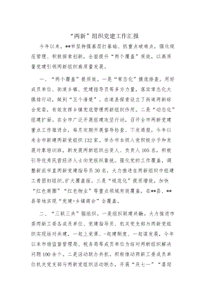 “两新”组织党建工作汇报.docx