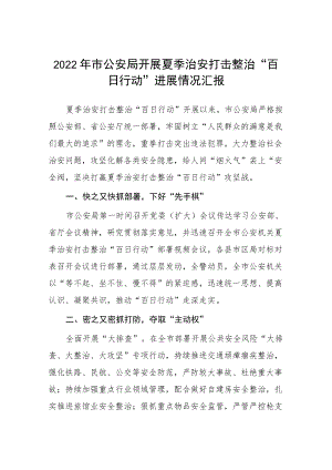 公安夏季治安打击整治“百日行动”专线总结报告四篇.docx