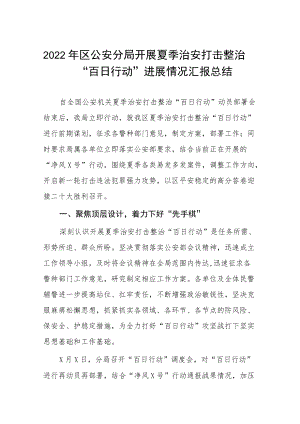 夏季治安打击整治“百日行动”专项总结汇报四篇样本.docx