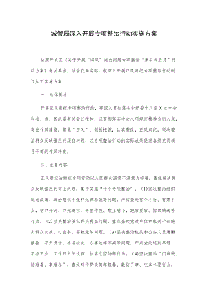 城管局深入开展专项整治行动实施方案.docx
