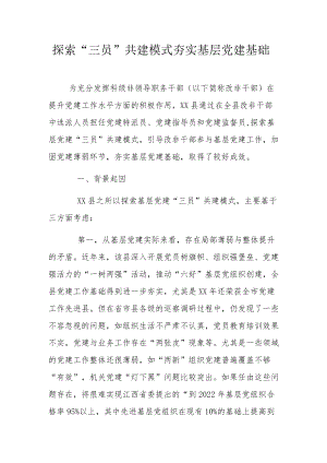 探索“三员”共建模式夯实基层党建基础.docx