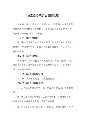总工会专项资金管理制度.docx