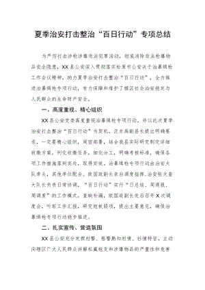 夏季治安打击整治“百日行动”专项总结.docx