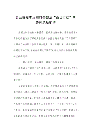 县公安夏季治安打击整治“百日行动”阶段性总结汇报.docx