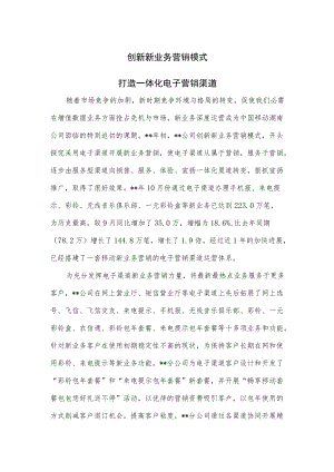 创新新业务营销模式 打造一体化电子营销渠道.docx