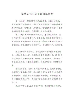 某某县书记县长直通车制度.docx