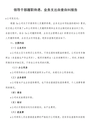 领导干部履职待遇、业务支出自查自纠报告.docx