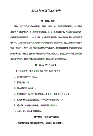 2022公司工作计划.docx