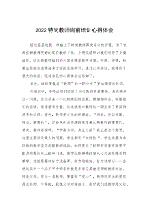 2022特岗教师岗前培训心得体会六篇样文.docx