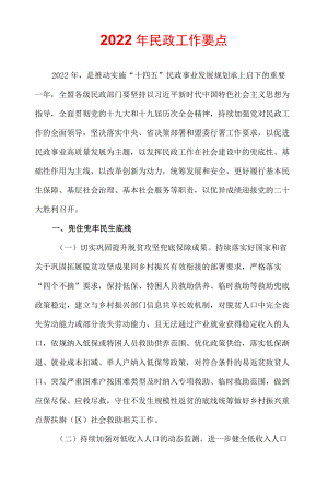 2022民政工作要点.docx