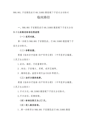 子宫腺肌病（子宫次全切）临床路径说明.docx
