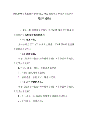 卵巢良性肿瘤临床路径说明.docx