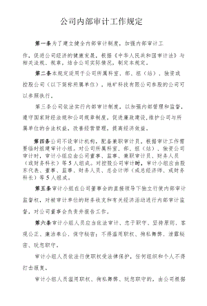 公司内部审计工作规定.docx