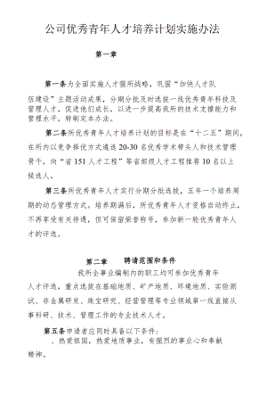 公司优秀青人才培养计划实施办法.docx