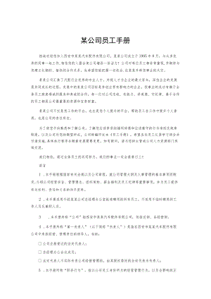 某公司员工手册.docx