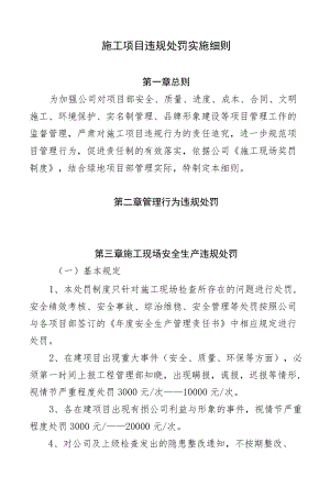 施工项目违规处罚实施细则.docx