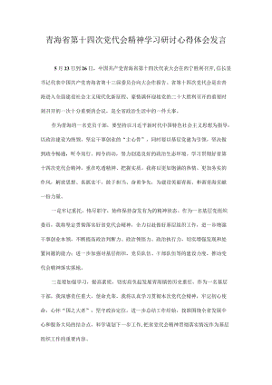 2022学习青海省第十四次党代会精神专题研讨心得体会发言合集 10篇.docx