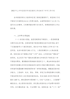 2022上半区经济开发区组织工作总结及下半工作计划.docx