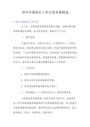 初中级组长工作计划5篇精选.docx