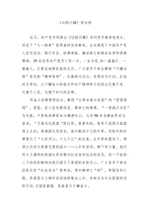 《功勋闪耀》观后感3篇(1).docx