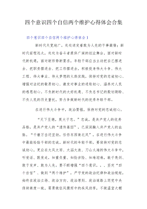 四个意识四个自信两个维护心得体会合集.docx