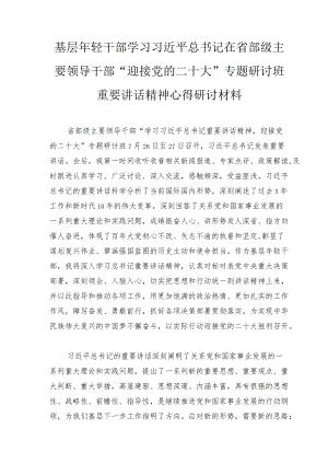 基层轻干部学习在省部级主要领导干部“迎接党的二十大”专题研讨班重要讲话精神心得研讨材料2篇.docx