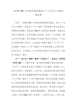 《功勋闪耀》系列党员教育电视片《一生只为一清渠》观后感.docx