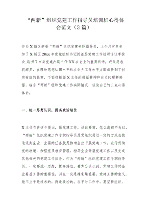 “两新”组织党建工作指导员培训班心得体会范文（3篇）.docx