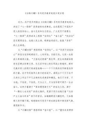 《功勋闪耀》系列党员教育电视片观后感3篇.docx