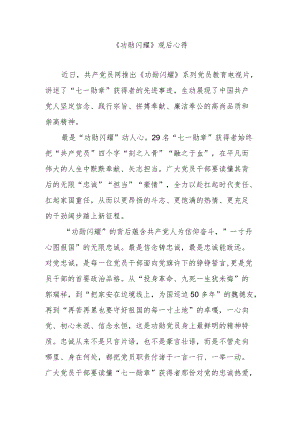 《功勋闪耀》观后心得3篇.docx