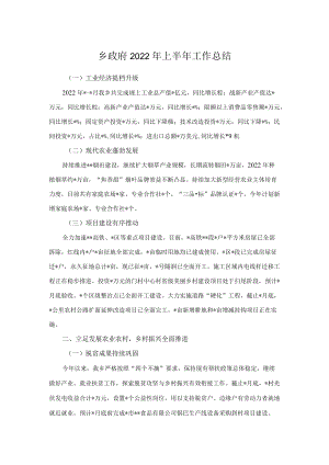乡政府2022上半工作总结.docx