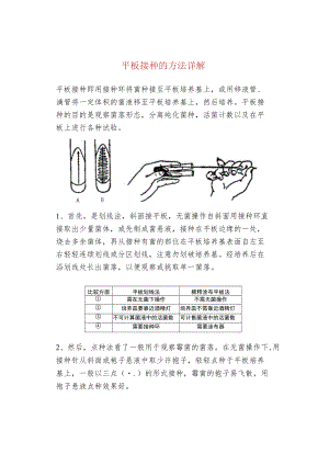 平板接种的方法详解.docx