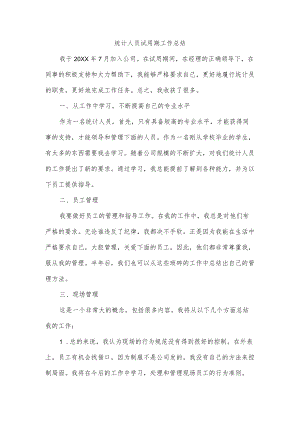 统计人员试用期工作总结.docx