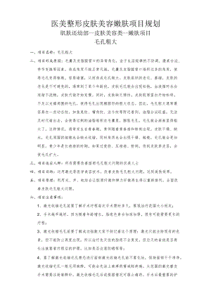 医美整形皮肤美容嫩肤项目规划.docx