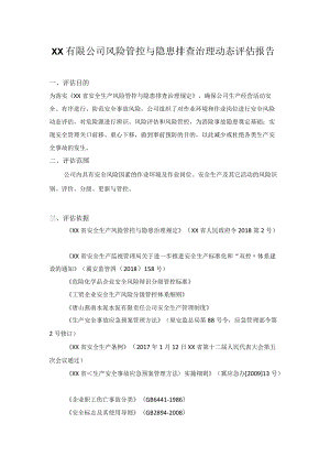 XX有限公司风险管控与隐患排查治理动态评估报告.docx