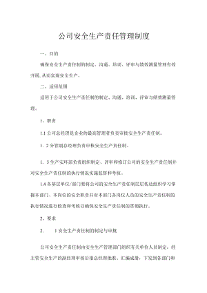公司安全生产责任管理制度.docx