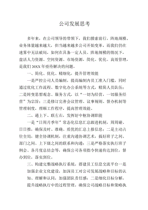 公司发展思考.docx