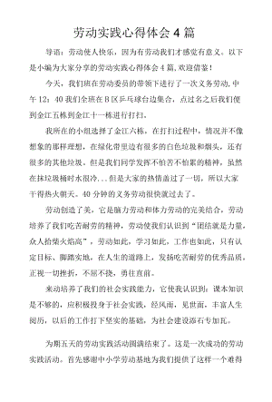 劳动实践心得体会4篇.docx