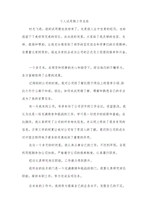 个人试用期工作总结.docx