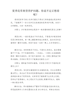 夏季花草典型养护问题你说不定正愁着呢？.docx