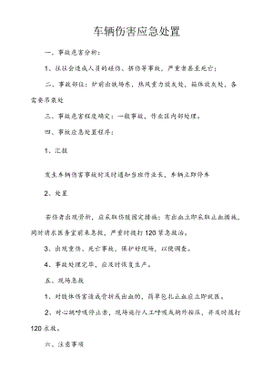 炼钢厂炼钢厂车辆伤害应急处置.docx