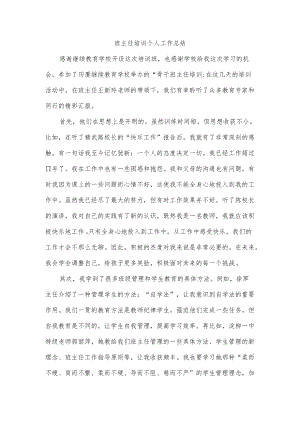 班主任培训个人工作总结.docx