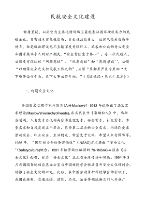 民航安全文化建设.docx