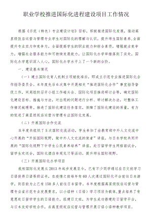 职业学校推进国际化进程建设项目工作情况.docx