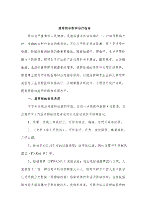肺结核诊断和治疗指南.docx