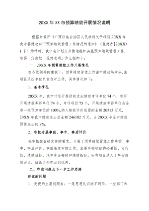 XX市预算绩效管理工作总结.docx