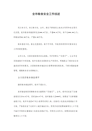 全市粮食安全工作综述.docx