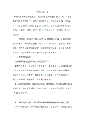 野鸭养殖技术.docx