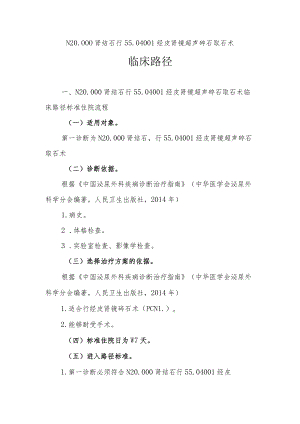 肾结石临床路径说明.docx